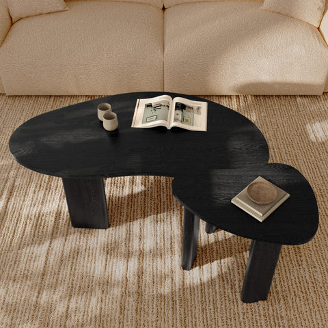 Lot de 2 tables basses gigognes SEVA frêne noir